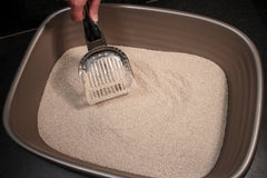 RSVP International Endurance: acero inoxidable duradero para uso diario.