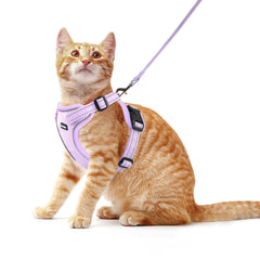 Rttochfy arnés de gato ajustable y reflectante para paseos seguros