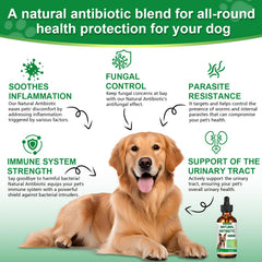 RUAKPL Equinácea natural para perros mejora la respuesta inmunitaria potencial.