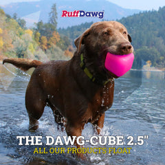 Dawg-Cube de Ruff Dawg, flotante para juegos en playa o piscina.