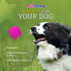 Dawg-Cube de Ruff Dawg, seguro para dientes y encías durante la diversión.