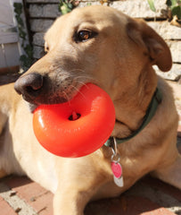 Ruff Dawg Dawg-Nut XL – Textura elástica para masticar con comodidad