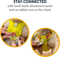 Ruffwear arnés ligero enganche delantero reforzado para entrenamiento.
