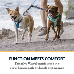 Ruffwear acoplador amortiguación de choque reduce tirones para paseos más suaves.