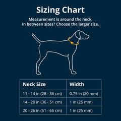 Ruffwear Front Range Collar hebilla lateral: ajuste seguro y rápido para cualquier talla