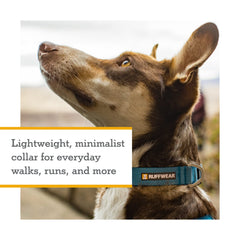 Ruffwear Hi & Light: elementos reflectantes para visibilidad nocturna.
