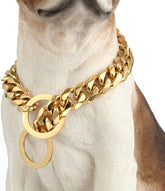 Collar RUMYPET 11 mm dorado para paseos diarios y resistencia.