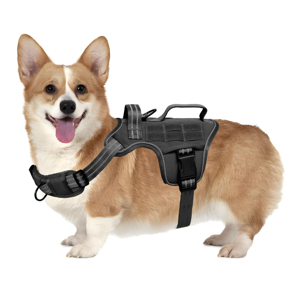 RunFido chaleco para perro pequeño con ajuste rápido para vestir fácilmente