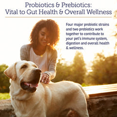 Rx Vitamins Rx Biotic, polvo sin sabor, mezcla fácil con la comida.
