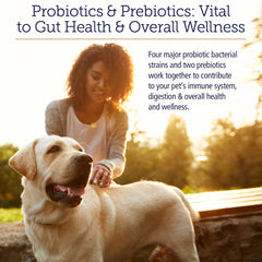Rx Vitamins Rx Biotic, polvo sin sabor para perros y gatos, se mezcla fácilmente.