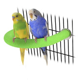 Rypet percha loro forma U verde para ejercicio seguro de las patas