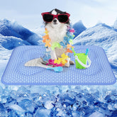 Rywell Manta con Arc-Chill 3.0 enfría al perro de forma eficaz