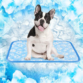 Rywell esterilla autoenfriante para perros con superficie helada Arc-Chill