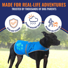 SafetyPUP XD cinta de utilidad lateral para bolsas o mosquetón