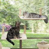 Sangoodier percha-ventana-gato amarillo 2pack: descanso cómodo dentro de casa.
