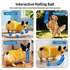 Tres modos de juego para perros pequeños y medianos con Sankell.