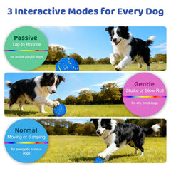 Sankell bola para perros azul, material E-TPU seguro y resistente.