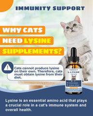 Ingredientes naturales de lisina para gatos que apoyan la salud