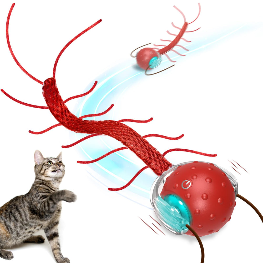 Saolife bola interactiva para gatos en interiores ofrece entretenimiento continuo.