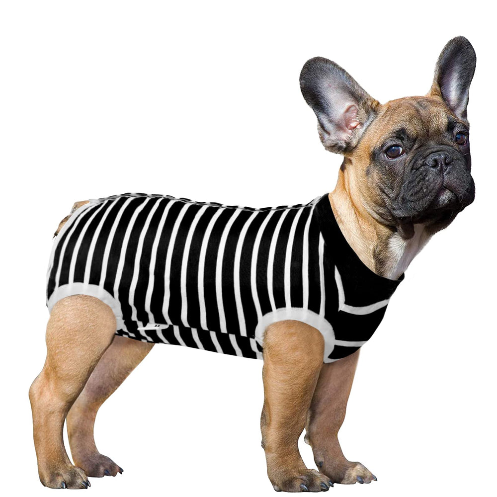 SAWMONG: vestido de recuperación para perro, alternativa al cono para proteger heridas.