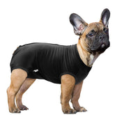 SAWMONG traje recuperación para perro, frente visible y cómodo durante la curación