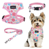 SCENEREAL arnés-collar-correa para perro pequeño, paseo diario cómodo.