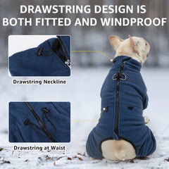SCENEREAL arnés perro con anilla en D para paseo cómodo y seguro.