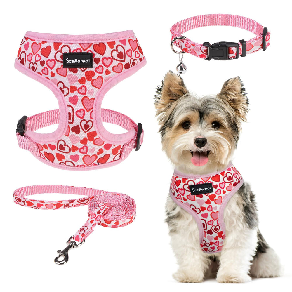 SCENEREAL arnés para perro pequeño con corazones, ideal para paseos festivos.