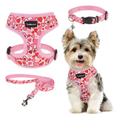 SCENEREAL arnés para perro pequeño con corazones, ideal para paseos festivos.
