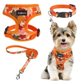 SCENEREAL arnés XS naranja con hoja otoñal para paseos cómodos.