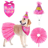 SCENEREAL Bandana de cumpleaños para perro, estilo princesa y color para fotos