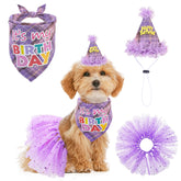 SCENEREAL bandana para perro en cumpleaños, ideal para sesiones fotográficas festivas