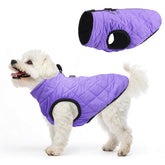 SCENEREAL capa de invierno para perro con arnés integrado, paseos más simples