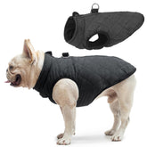 SCENEREAL chaleco invierno para perro con arnés integrado, ideal para paseos seguros.