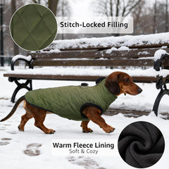 SCENEREAL chaleco invierno para perro con forro polar cálido