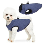 SCENEREAL chaleco para perro invierno con arnés integrado, cómodo para paseos diarios.