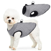SCENEREAL chaleco para perro invierno – frente: ajuste cómodo para paseos diarios.