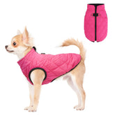 SCENEREAL chaqueta para perros, vista frontal, protege del viento y mantiene el calor.
