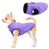 SCENEREAL chaqueta de perro invierno, exterior resistente al viento para paseos al aire libre.