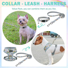 SCENEREAL collar con diseño estilizado para perros pequeños y elegantes.