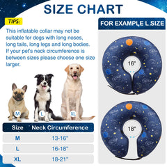 SCENEREAL Collar de recuperación para perro, protección 360 contra lamidos.