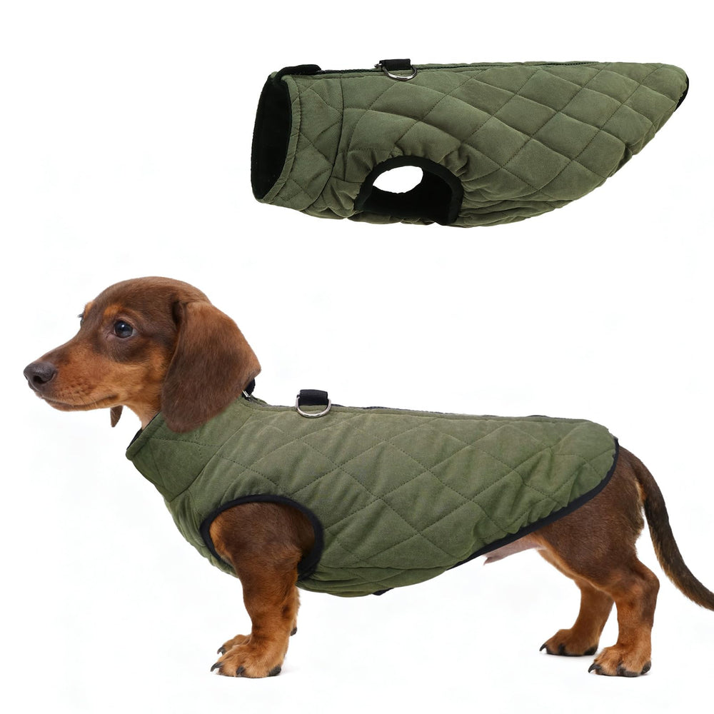 SCENEREAL chaleco dachshund invierno frontal con cremallera, fácil de poner