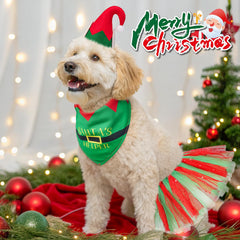 SCENEREAL gorra duende para perro, ajuste estable para fiestas sin caerse.