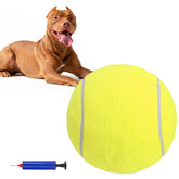 SCENEREAL Pelota gigante para perros, ideal para juego al aire libre.