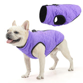 SCENEREAL chaleco para perros, frente: protección contra viento y frío.