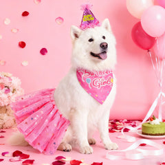 SCENEREAL Sombrero de cumpleaños para perro, mantiene la moda y facilita tomas