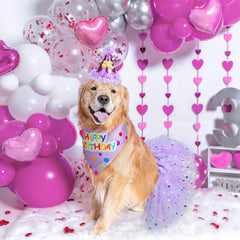 SCENEREAL sombrero de cumpleaños para perros, ajuste seguro para fiestas.