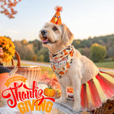 SCENEREAL sombrero para perro, diseño de pavo con hebilla ajustable para seguridad