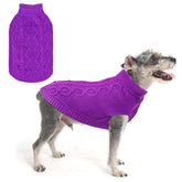 SCENEREAL sueter para perro en color violeta sólido, ideal para uso diario