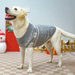 SCIROKKO sudadera gris para perros, espalda, protección contra el frío.